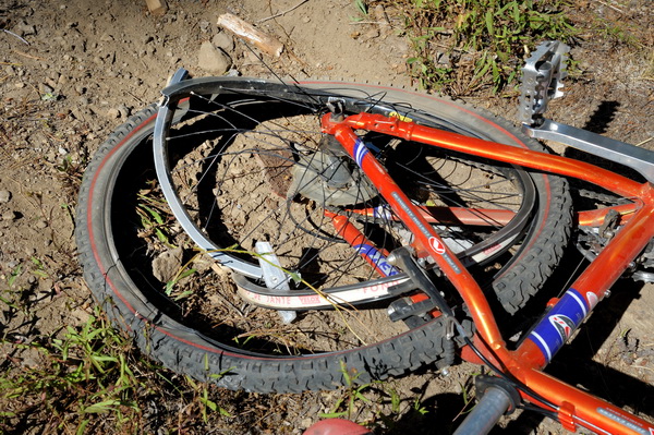 GL freeing LCs bike from tree on Killys Cruise trail in Royal Gorge area-12 9-6-13