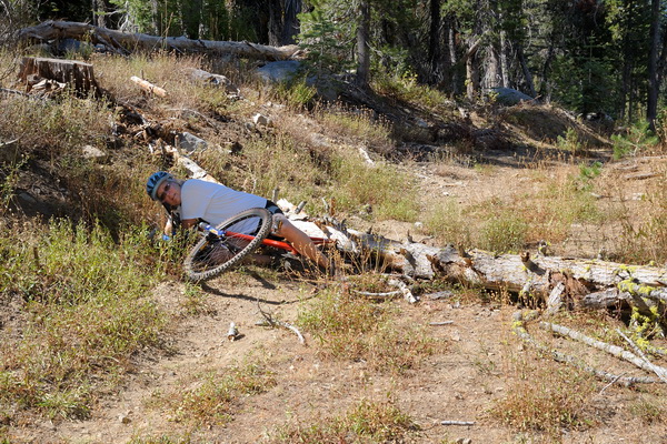 LC after tree fell on her bike on Killys Cruise in Royal Gorge area-03 9-6-13