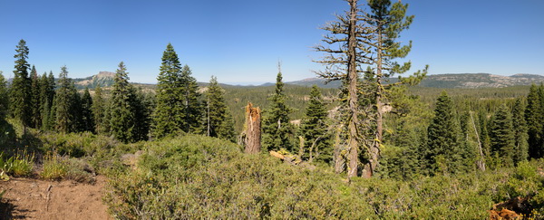 Lyle Lookout in Royal Gorge area pano2 8-5-10