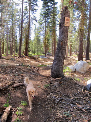 Maggie at Buckey trail sign in Royal Gorge area 6-21-14